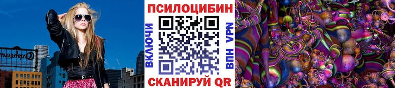 Псилоцибиновые грибы Cubensis  Кашин 